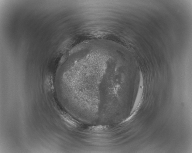 X0000061150182200512022324