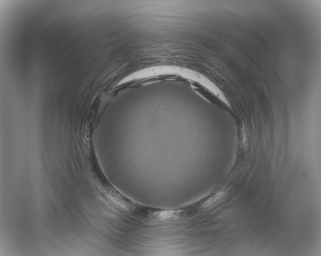 X0000061150184200512022324