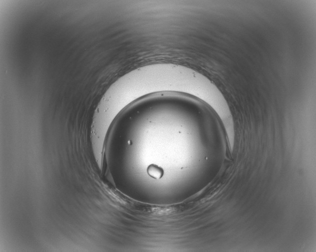 X0000061150185200512022324