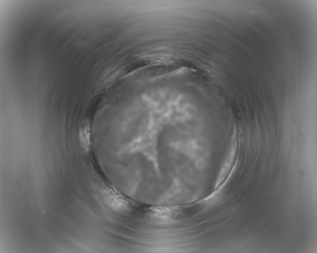 X0000061150190200512022324