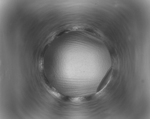 X0000061150191200512022324