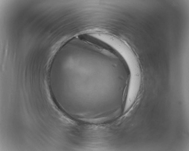 X0000061150193200512022323