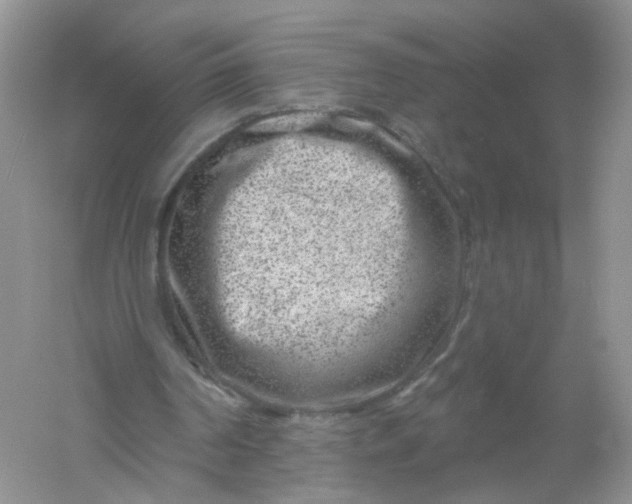 X0000061150194200512022323