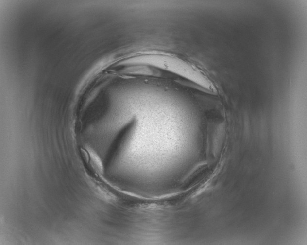 X0000061150197200512022323