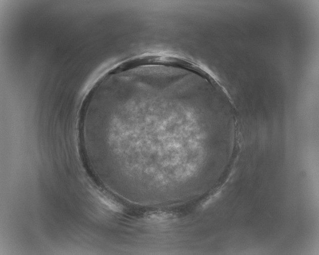 X0000061150199200512022323