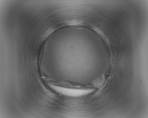 X0000061150201200512022323