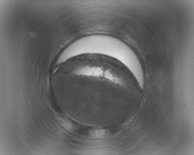 X0000061150202200512022323