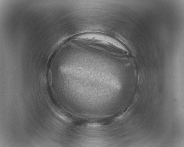 X0000061150203200512022323