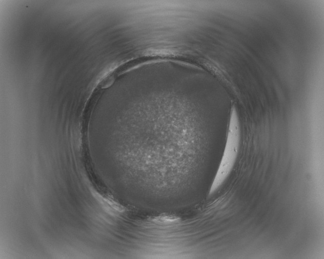 X0000061150204200512022323