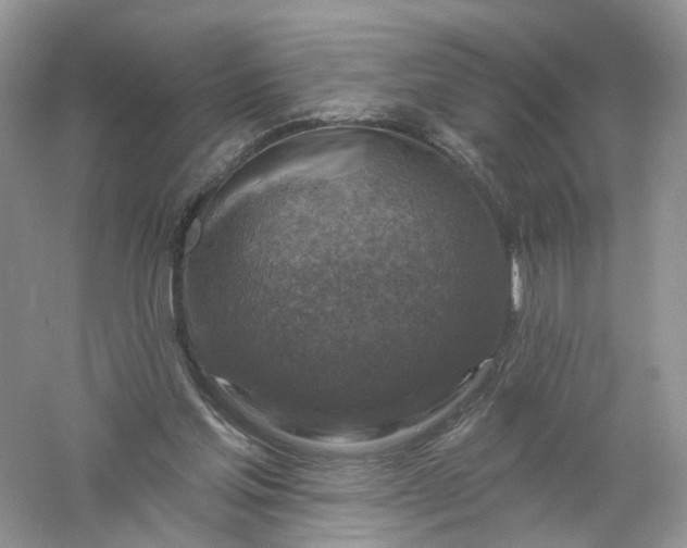 X0000061150205200512022323