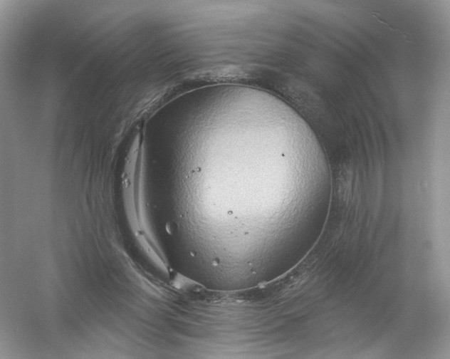 X0000061150206200512022323