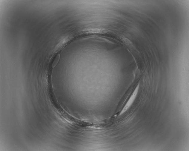 X0000061150207200512022323