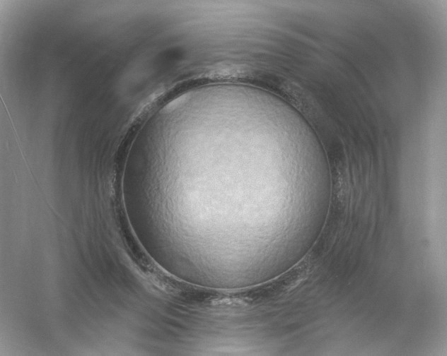 X0000061150208200512022323