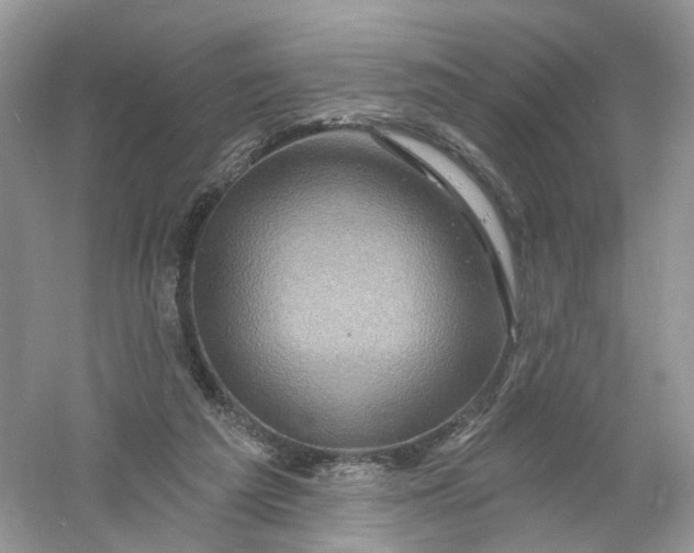 X0000061150209200512022323