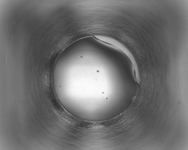 X0000061150210200512022323