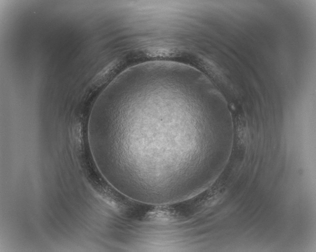 X0000061150211200512022323