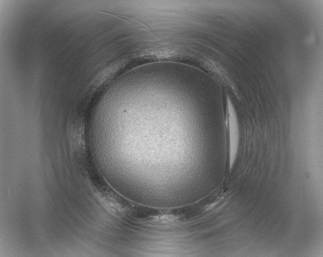 X0000061150212200512022323