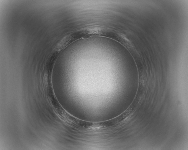 X0000061150213200512022323