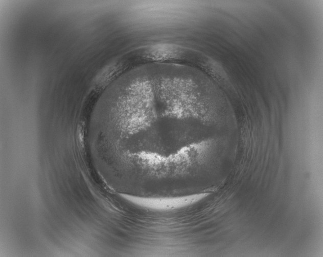 X0000061150214200512022323