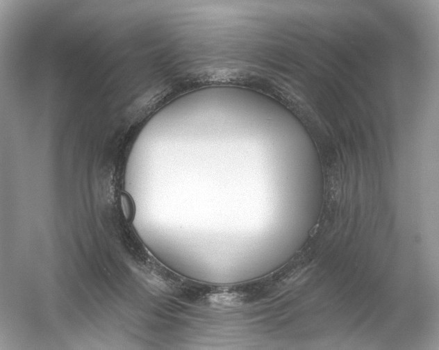 X0000061150216200512022323