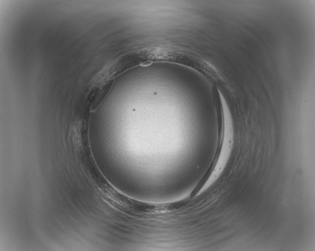 X0000061150217200512022323