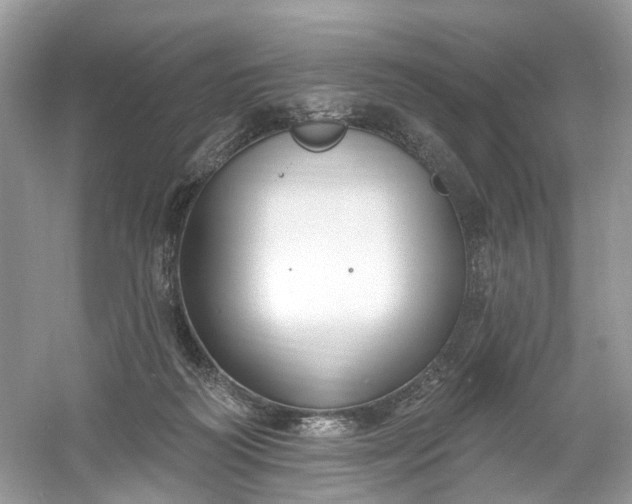 X0000061150218200512022323