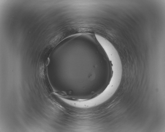 X0000061150219200512022323