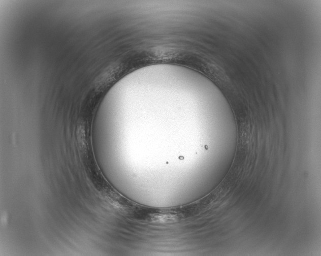 X0000061150220200512022323