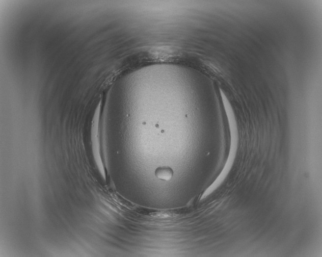 X0000061150221200512022323