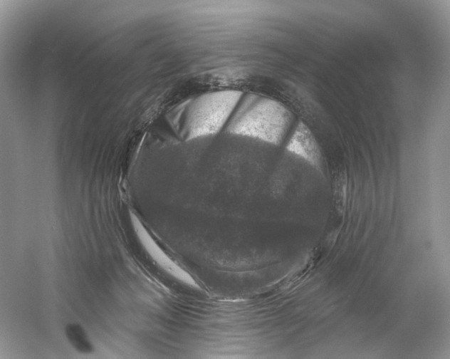 X0000061150222200512022323