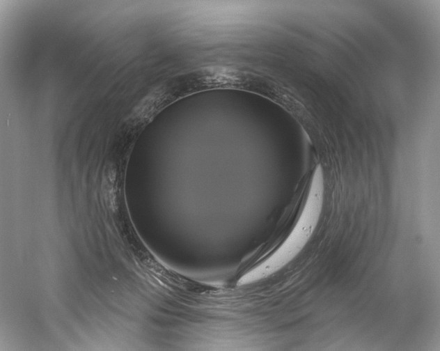 X0000061150223200512022323