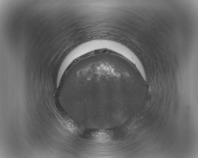 X0000061150224200512022323