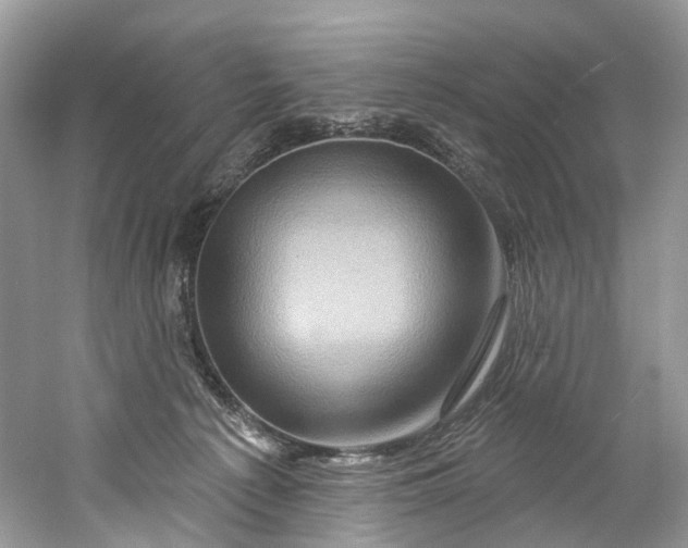 X0000061150225200512022323