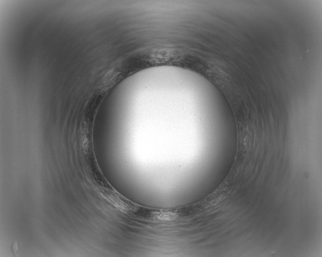 X0000061150226200512022323