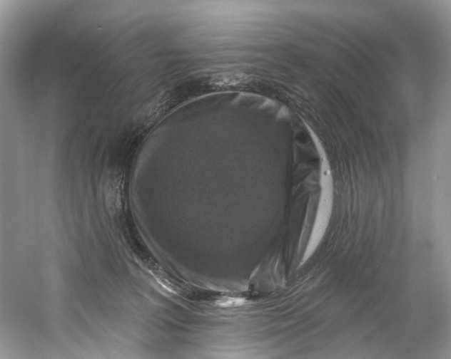 X0000061150227200512022323