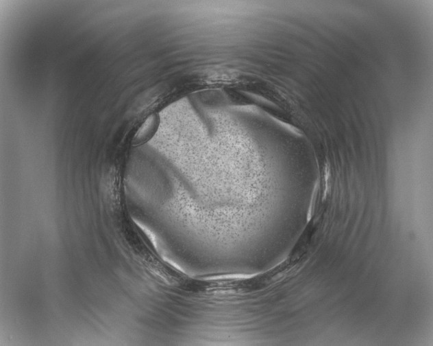 X0000061150228200512022323