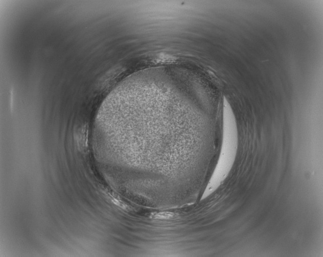 X0000061150230200512022323