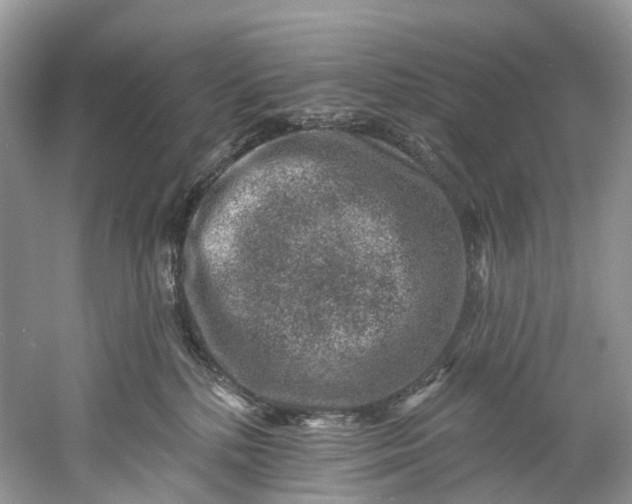 X0000061150232200512022323