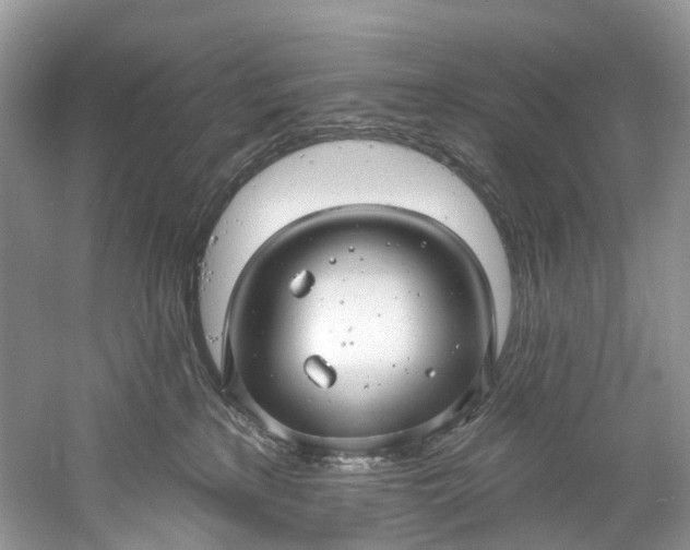 X0000061150233200512022323