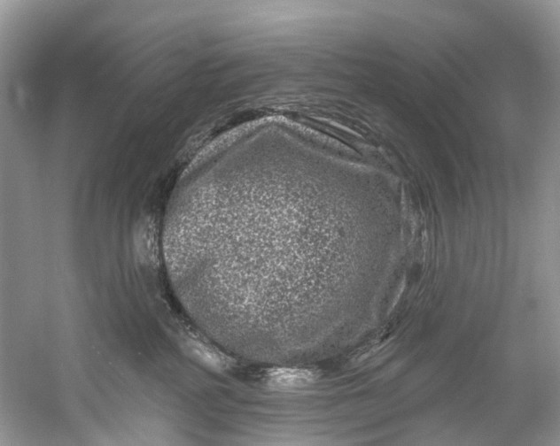 X0000061150234200512022323