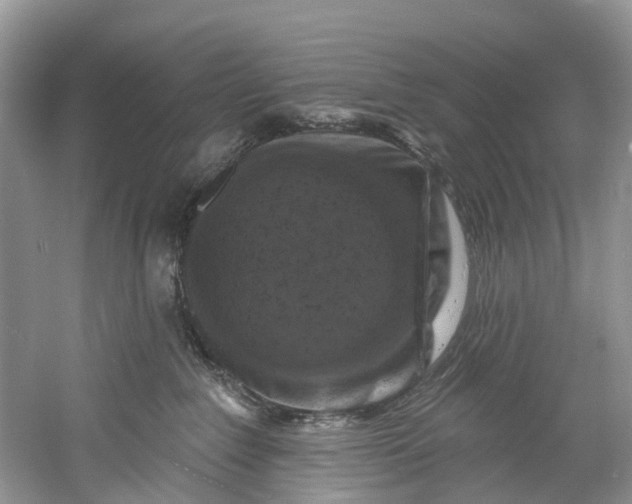 X0000061150235200512022323