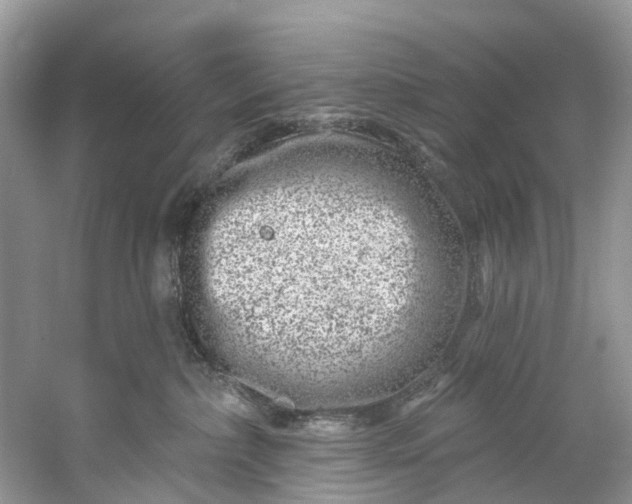 X0000061150236200512022323