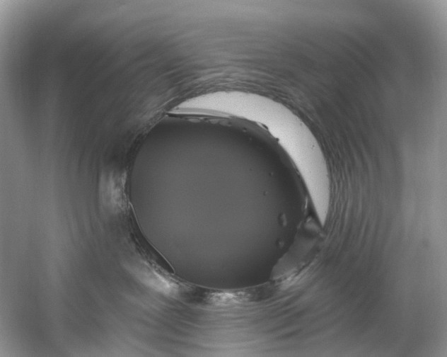 X0000061150239200512022323