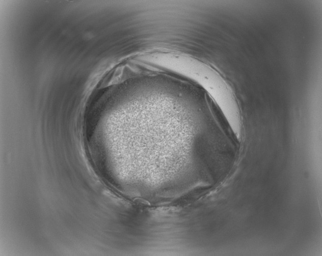 X0000061150241200512022322