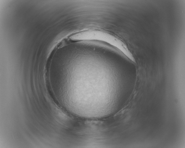 X0000061150242200512022322