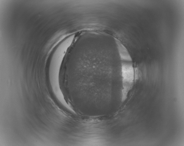 X0000061150243200512022322