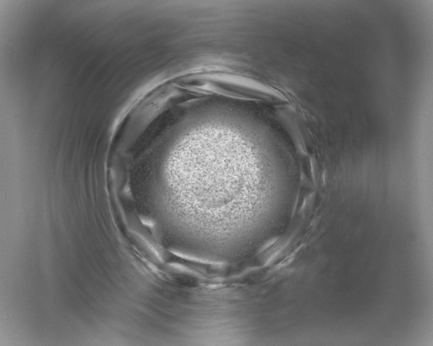 X0000061150244200512022322