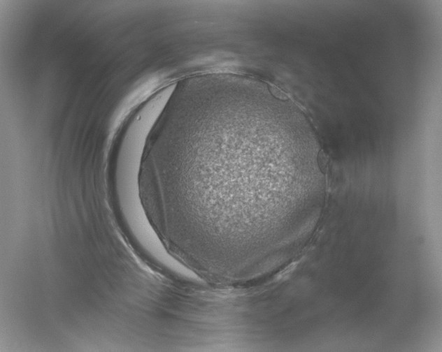 X0000061150245200512022322