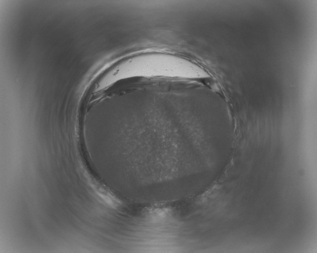 X0000061150247200512022322