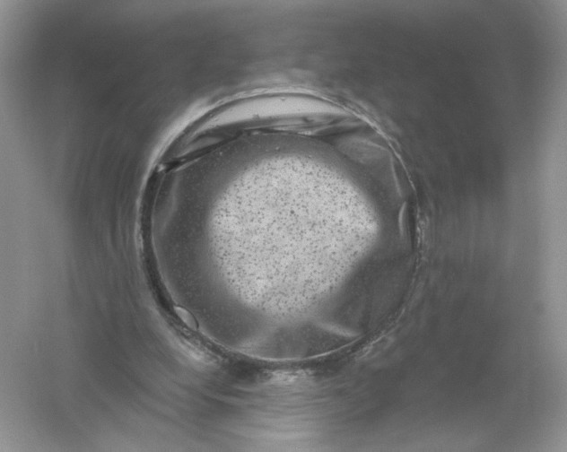 X0000061150248200512022322